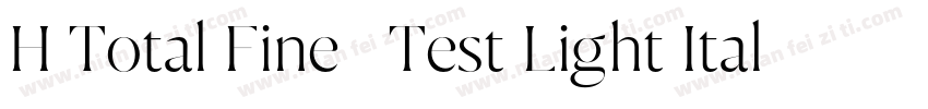 H Total Fine   Test Light Italic字体转换